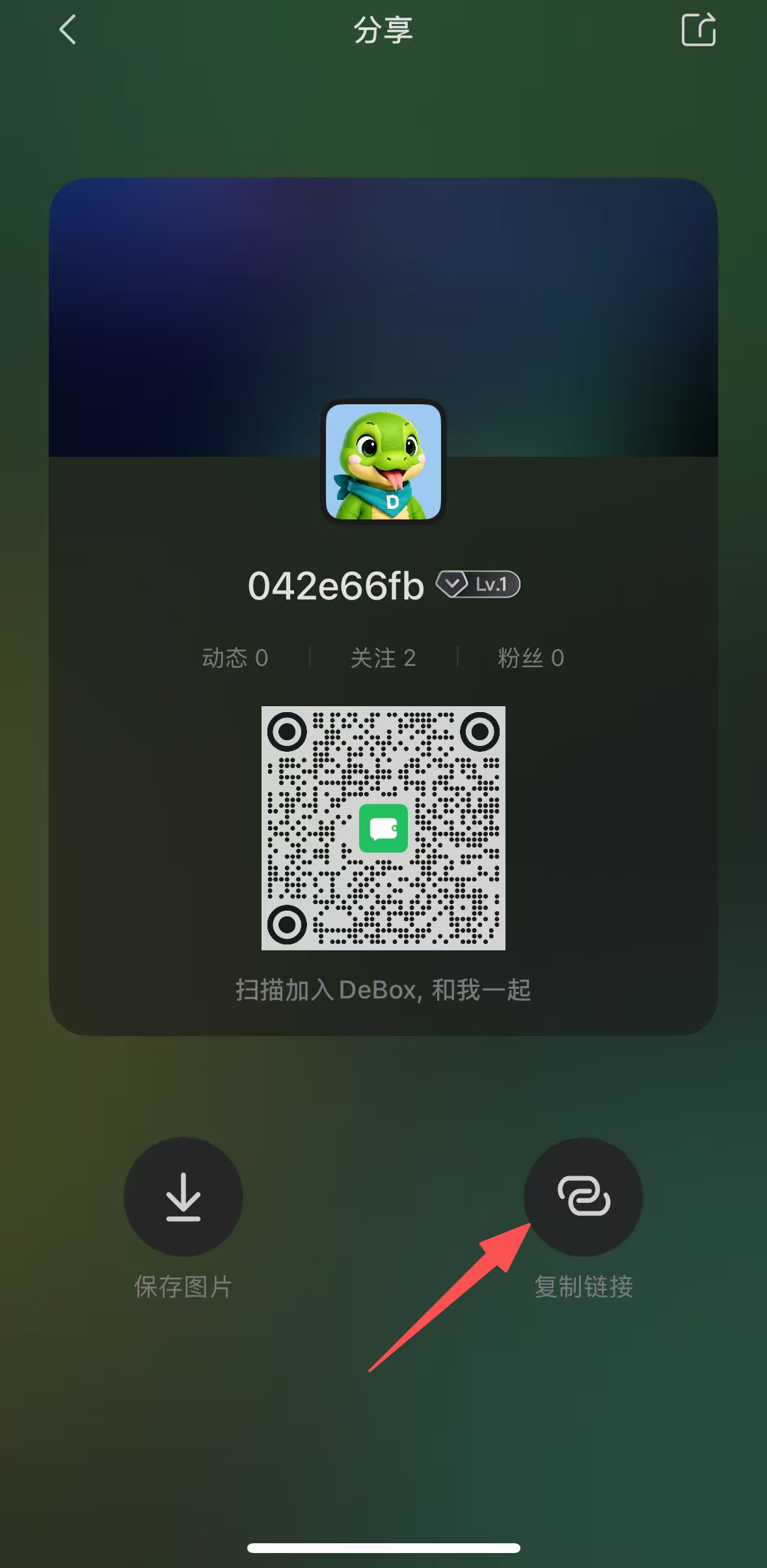 从 DeBox 个人主页分享页面复制链接